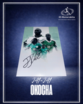 JAY-JAY OKOCHA HAND SIGNED NIGERIA 12x8 PHOTO